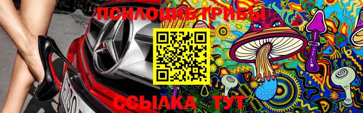 Галлюциногенные грибы Cubensis Карабулак